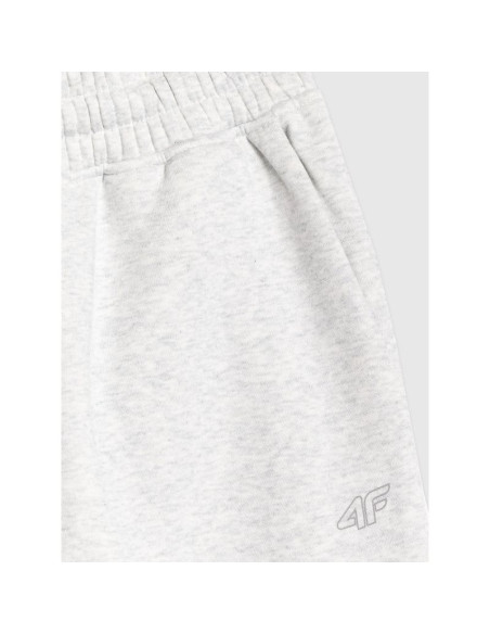 Spodnie dresowe joggery damskie 4f 4fraw25ttrof1846-26m