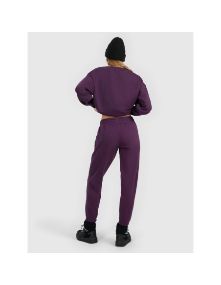 Spodnie dresowe joggery damskie 4f 4fraw25ttrof1846-50s