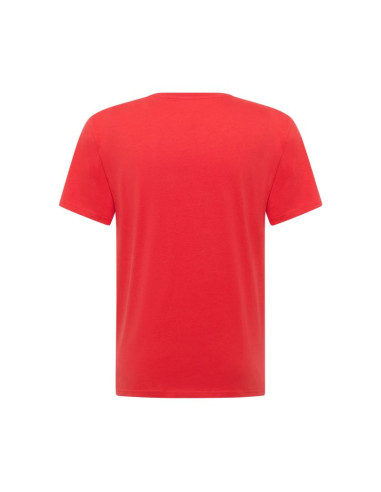 Mustang męska koszulka t-shirt austin 1017379 7270
