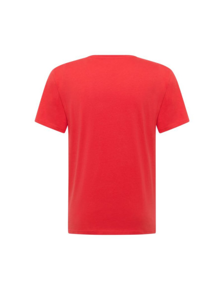 Mustang męska koszulka t-shirt austin 1017379 7270
