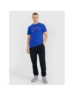 Spodnie casual męskie 4f 4fwss25ttrom1001-20s 2