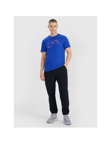 Spodnie casual męskie 4f 4fwss25ttrom1001-20s