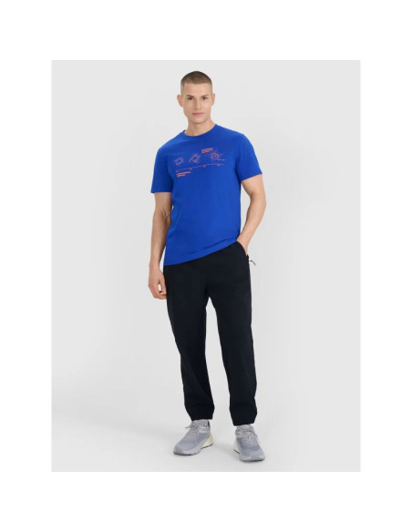 Spodnie casual męskie 4f 4fwss25ttrom1001-20s