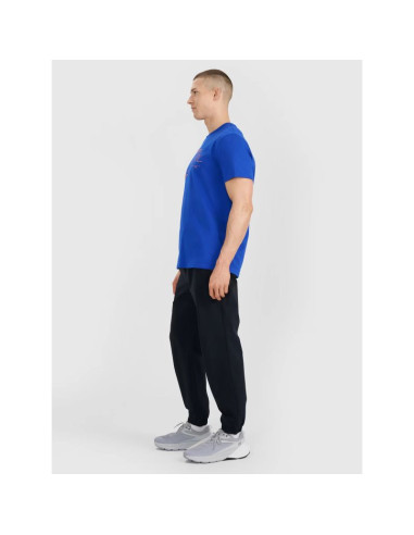 Spodnie casual męskie 4f 4fwss25ttrom1001-20s