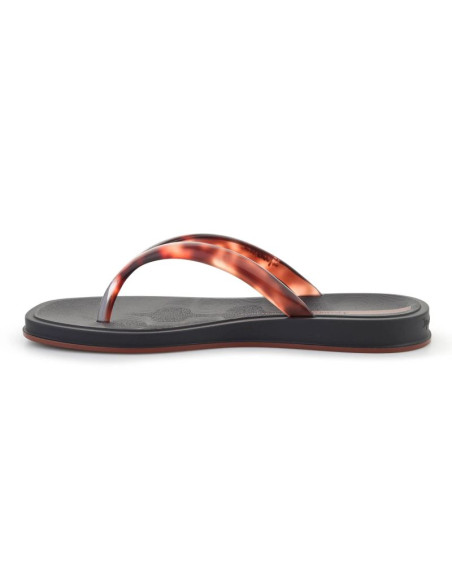 Ipanema glow trendy ad black/turtle/brown 27419-br843