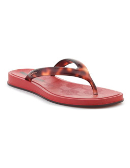 Ipanema glow trendy ad brown tile/turtle/brown 27419-br846