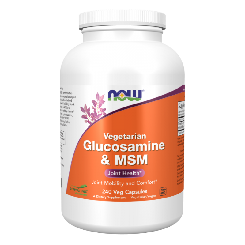 Glucosamine & MSM vegetarian - Glukozamina i MSM (240 kaps.)