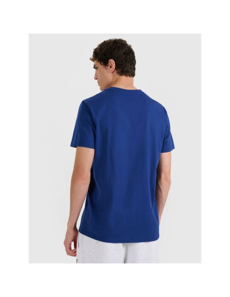 T-shirt męski (zestaw koszulek 2 szt.) 4f 4frmm00ttshm2705-91s