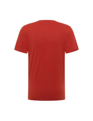 Mustang męska koszulka t-shirt austin 1017772 7113