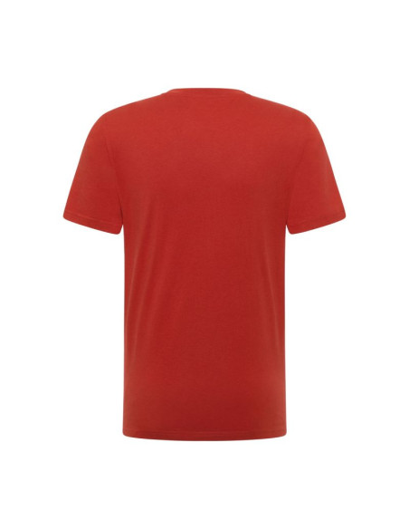 Mustang męska koszulka t-shirt austin 1017772 7113