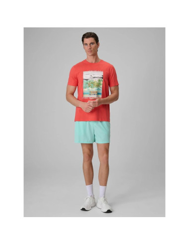 T-shirt regular z nadrukiem męski 4f 4frss26ttshm4304-63s
