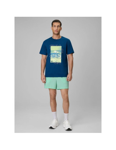 Spodenki plażowe boardshorty męskie 4f 4frss26ubdsm229-33s