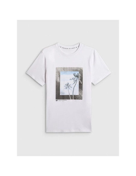 T-shirt regular z nadrukiem męski 4f 4fwss26ttshm3034-10s
