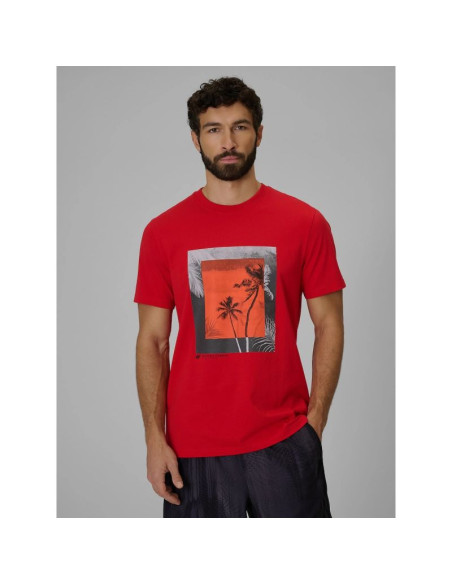 T-shirt regular z nadrukiem męski 4f 4fwss26ttshm3034-62s