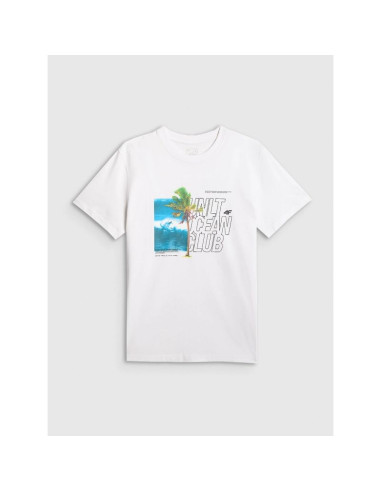 T-shirt regular z nadrukiem męski 4f 4frss26ttshm4303-10s