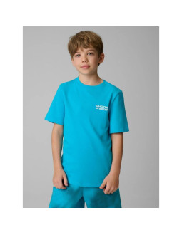 T-shirt regular z nadrukiem chłopięcy 4f 4fjrss26ttshm3832-33s