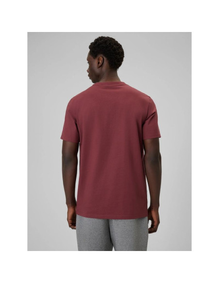T-shirt regular gładki męski 4f 4frss26ttshm3637-60s