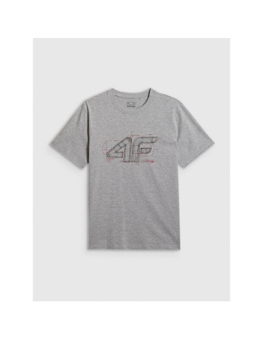 T-shirt regular z nadrukiem męski 4f 4frss26ttshm3989-10s