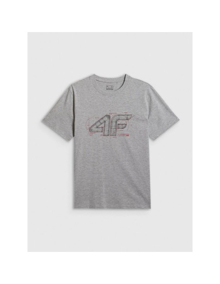 T-shirt regular z nadrukiem męski 4f 4frss26ttshm3989-10s