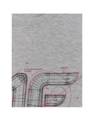 T-shirt regular z nadrukiem męski 4f 4frss26ttshm3989-10s