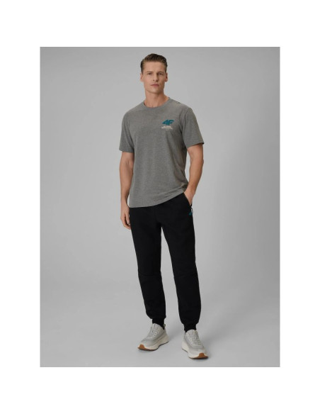 T-shirt regular gładki męski 4f 4frss26ttshm3990-24m