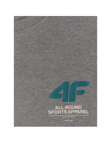 T-shirt regular gładki męski 4f 4frss26ttshm3990-24m