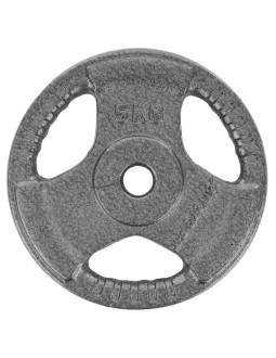Obciążenie hammertone 5 kg enero fit fi26,5 2