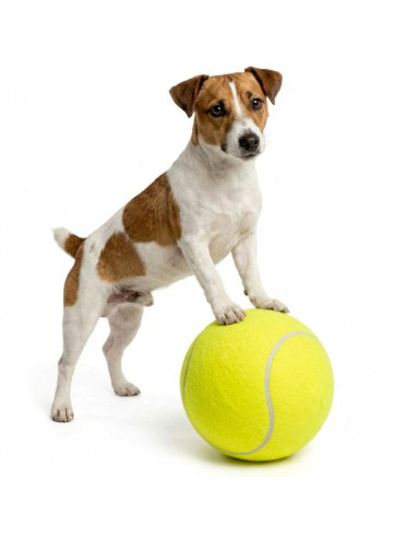 Piłka tenis ziemny xl śr 22cm