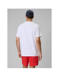 T-shirt regular z nadrukiem męski 4f 4fwss26ttshm2783-10s 2