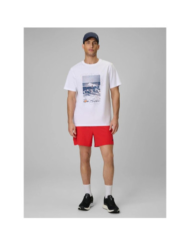 T-shirt regular z nadrukiem męski 4f 4fwss26ttshm2783-10s