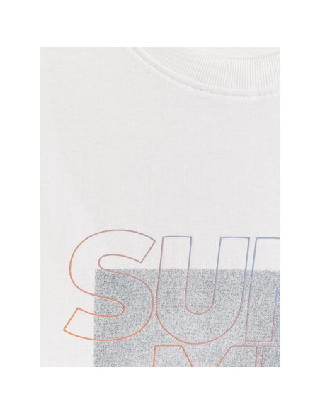 T-shirt regular z nadrukiem męski 4f 4fwss26ttshm2783-10s