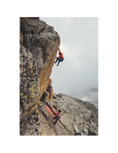 Mammut togir 2.0