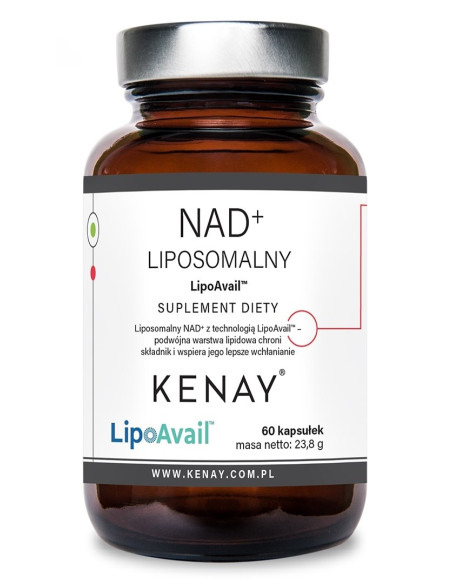 Nad+ Liposomalny Lipoavail® (60 Kaps.)
