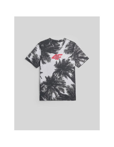 T-shirt regular z nadrukiem męski 4f 4frss26ttshm4302-20a