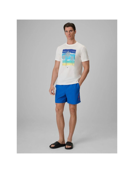 T-shirt regular z nadrukiem męski 4f 4frss26ttshm4291-11s