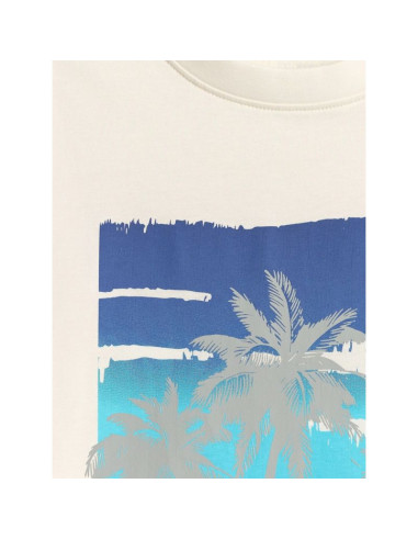T-shirt regular z nadrukiem męski 4f 4frss26ttshm4291-11s