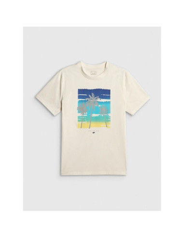 T-shirt regular z nadrukiem męski 4f 4frss26ttshm4291-11s