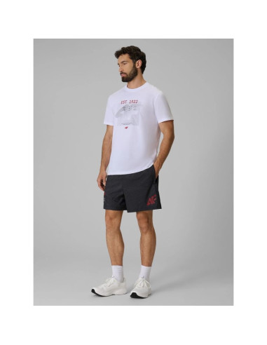 T-shirt regular z nadrukiem męski 4f 4frss26ttshm4039-10s