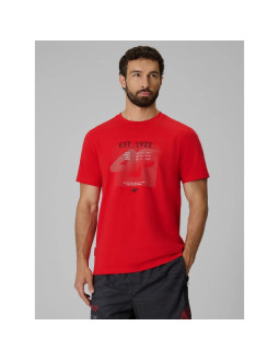 T-shirt regular z nadrukiem męski 4f 4frss26ttshm4039-62s