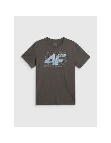 T-shirt regular z nadrukiem męski 4f 4frss26ttshm4295-22s