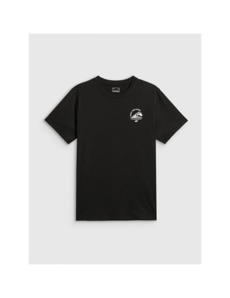T-shirt relaxed z nadrukiem męski 4f 4frss26ttshm4296-20s