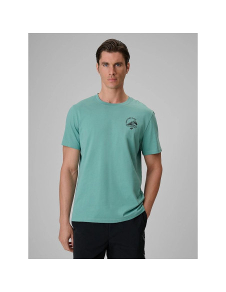 T-shirt relaxed z nadrukiem męski 4f 4frss26ttshm4296-47s