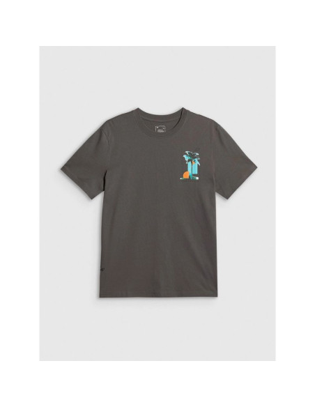 T-shirt regular z nadrukiem męski 4f 4frss26ttshm4301-22s