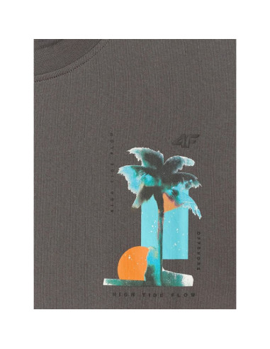 T-shirt regular z nadrukiem męski 4f 4frss26ttshm4301-22s