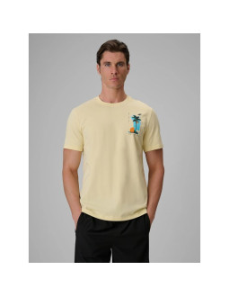 T-shirt regular z nadrukiem męski 4f 4frss26ttshm4301-73s