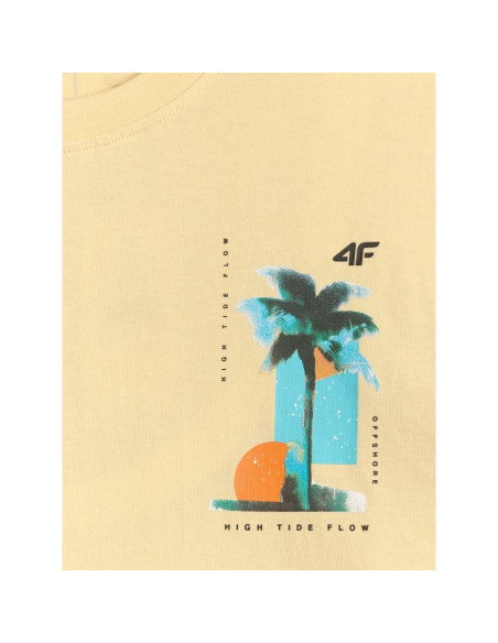 T-shirt regular z nadrukiem męski 4f 4frss26ttshm4301-73s