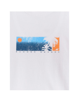 T-shirt regular z nadrukiem męski 4f 4fwss26ttshm3335-10s 2