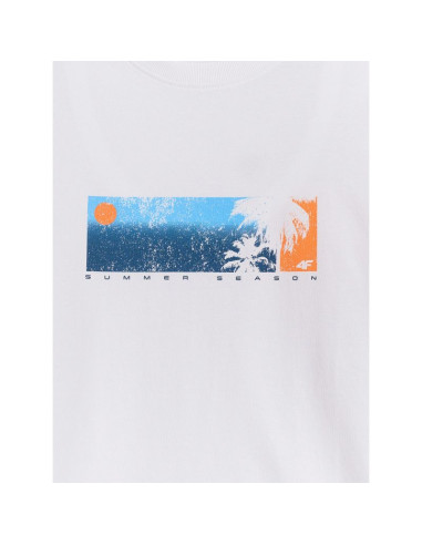 T-shirt regular z nadrukiem męski 4f 4fwss26ttshm3335-10s