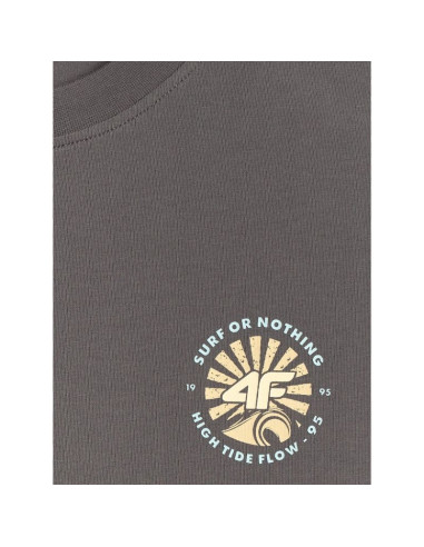 T-shirt regular z nadrukiem męski 4f 4frss26ttshm4293-22s