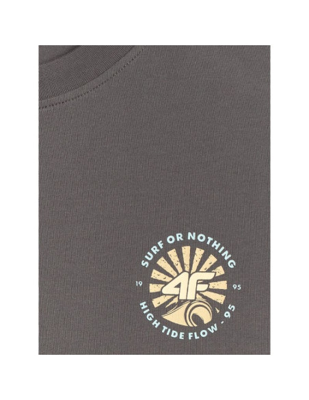 T-shirt regular z nadrukiem męski 4f 4frss26ttshm4293-22s